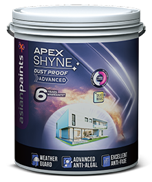 Apex Shyne Dust Proof Advanced